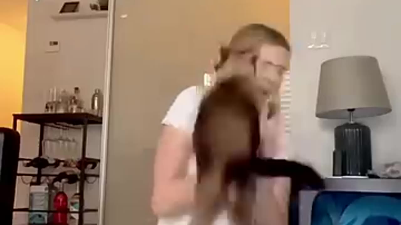 Breaking: The Very Best of Cat Comedy