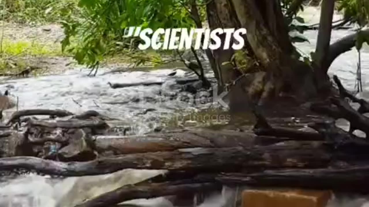 The Mystery of Devil’s Kettle: Science or Supernatural?