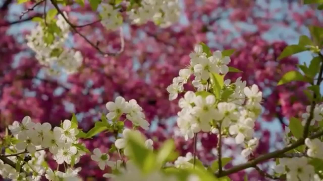 GOOD MORNING VIBES ➤ Uplifting 432Hz Music for Happiness & Positive Energy