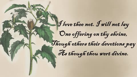 Apple, Thorn - The Language of Flowers