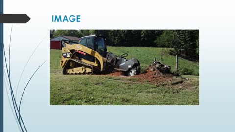 Best Tree Removal in Bushey
