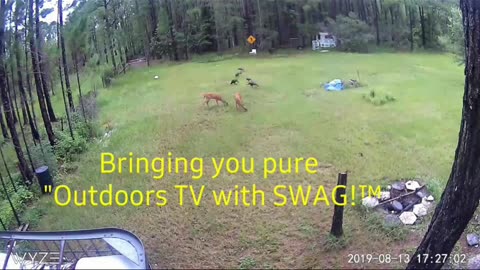 Sgt WarDawg TV® - 24/7