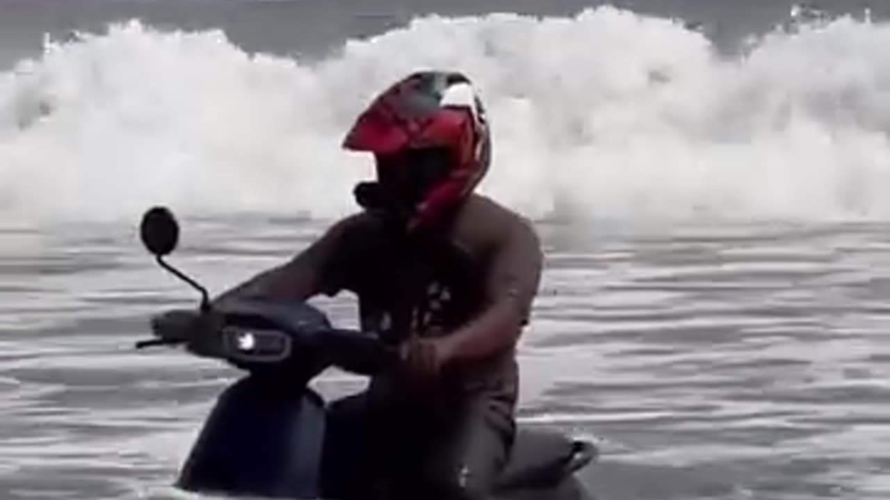 funniest clips
