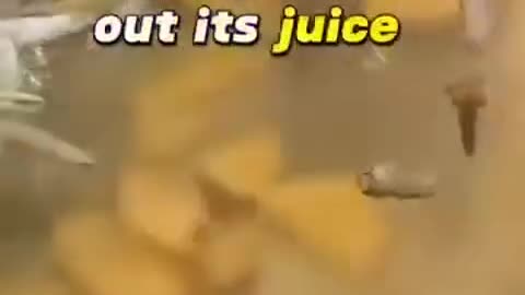 How to fix coughing