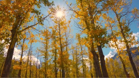 “Sing of His Mercies Forever!”