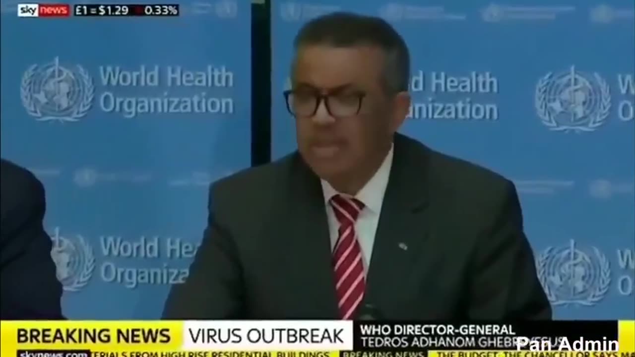 the scamdemic