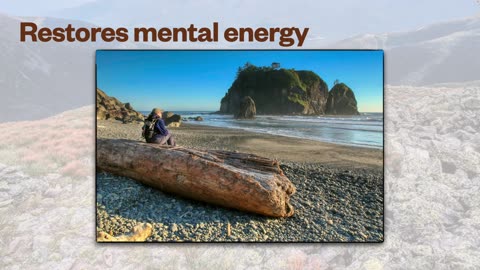 Drawing Near to God Through Nature Photography: A Firm Foundation Section 1