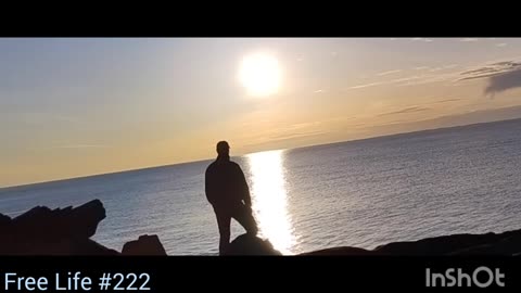 Free Life #222