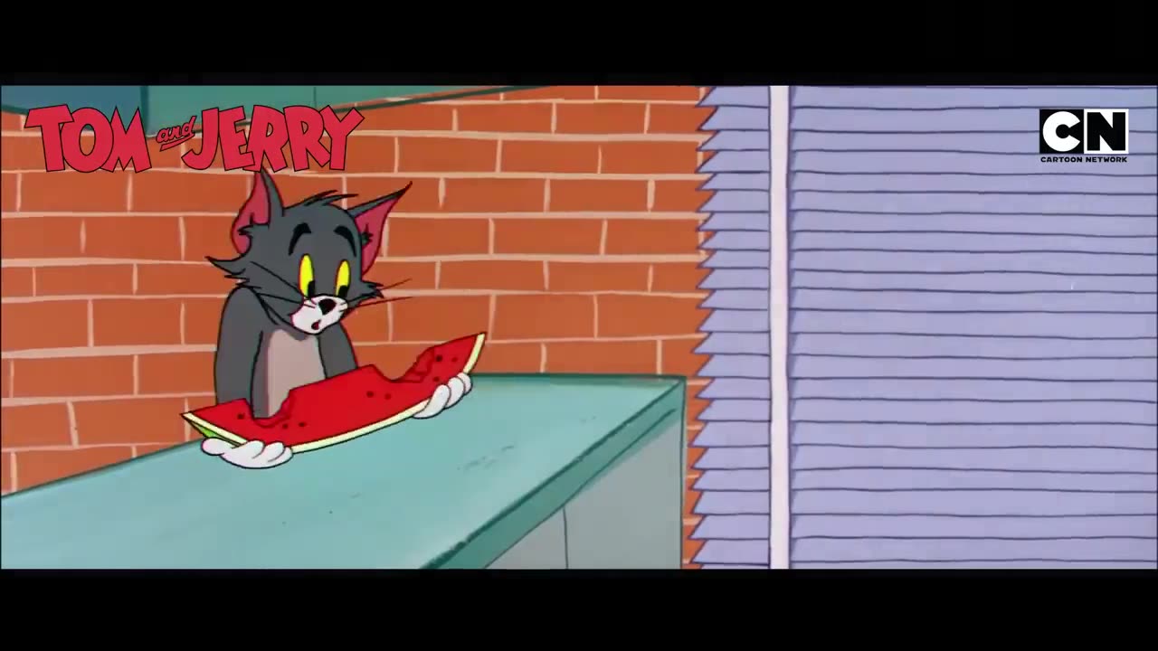 Tom and Jerry - Funny Battles and Hilarious Pranks