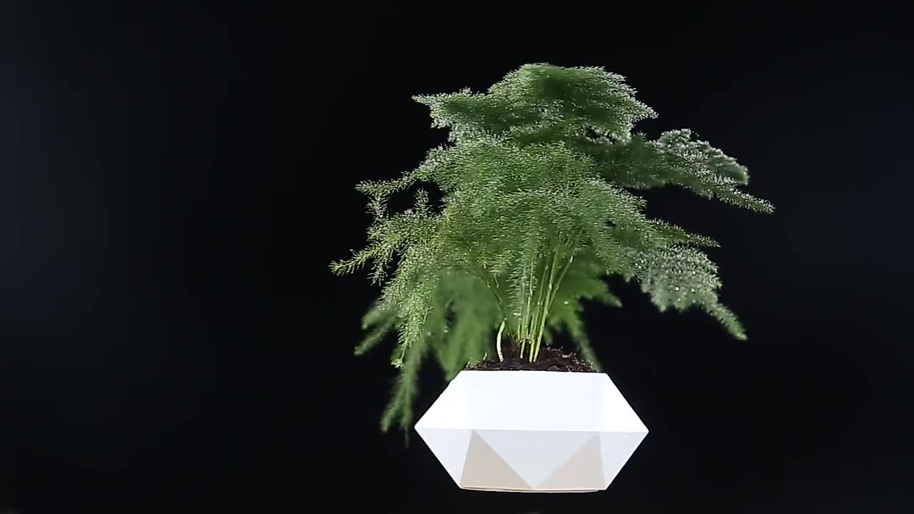 Levitating Air Bonsai Pot Rotation Flower Pot Planters Magnetic check description to buy