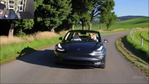 Outtake #1,199 Of The Dog Drives A Tesla Model 3 Car On The Roadway Fake Funny Parody Video