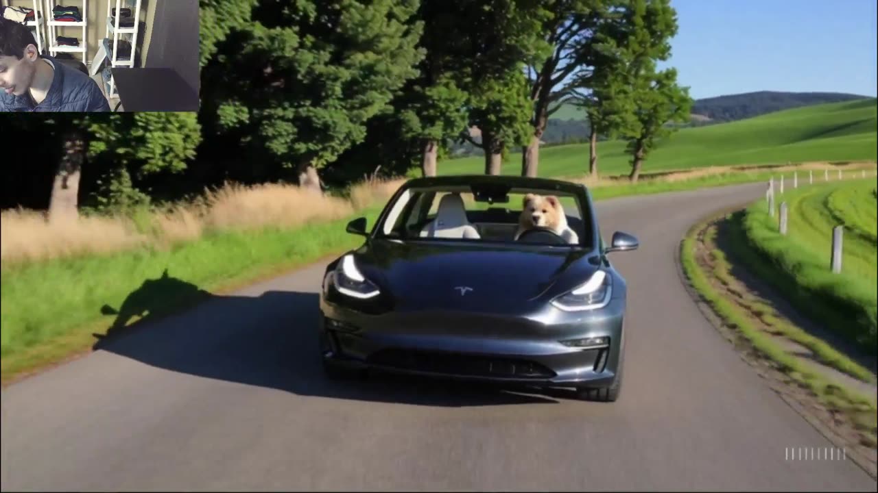 Outtake #1,199 Of The Dog Drives A Tesla Model 3 Car On The Roadway Fake Funny Parody Video