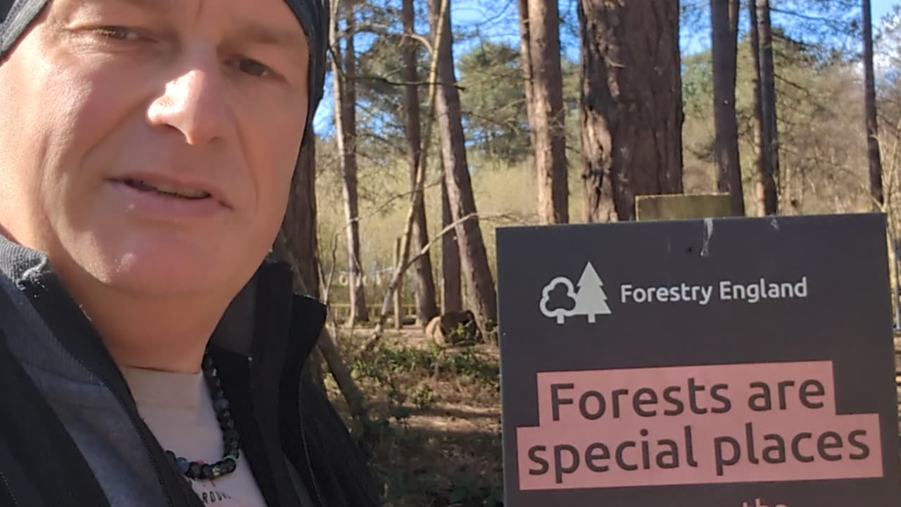 Why Forests Are More Than Trees 🌳 How Nature Heals Your Mind & Body
