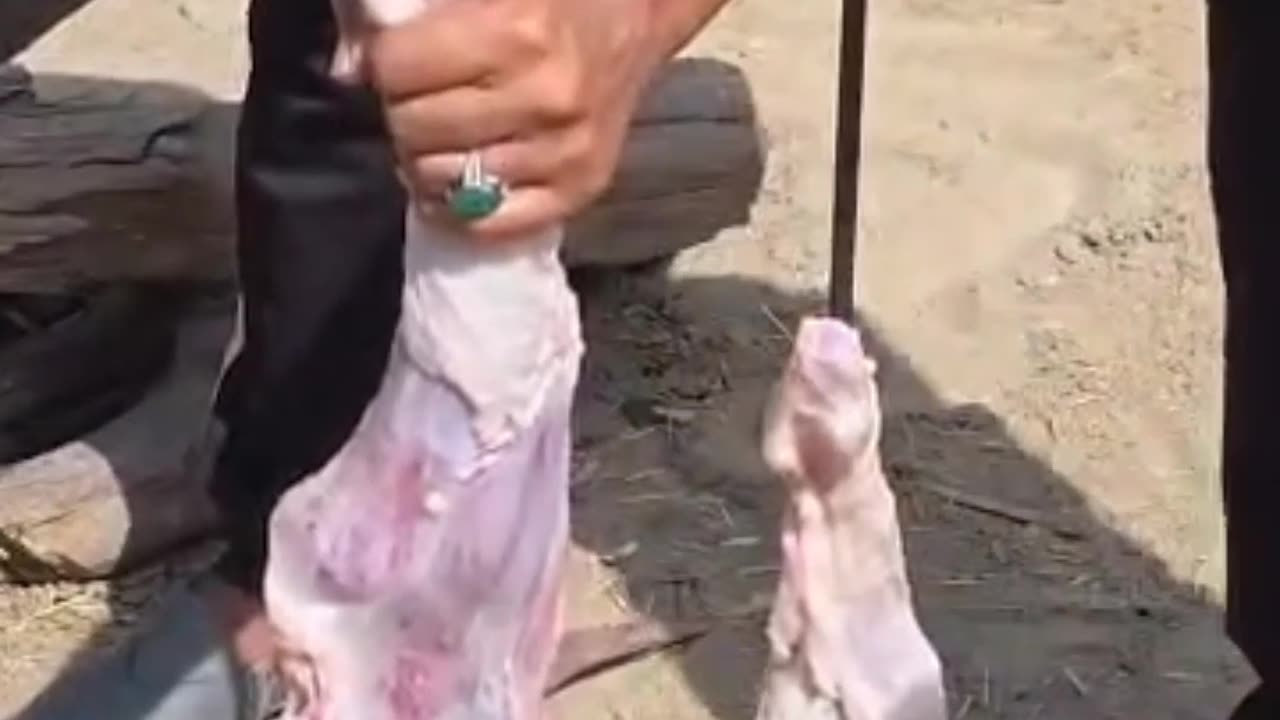 Life in a form House