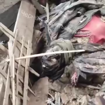 Ukraine war combat footage 8/12/25