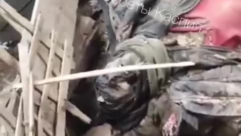 Ukraine war combat footage 8/12/25