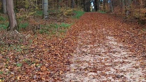 Class consciousness is the only effective antidote against the fascist poison