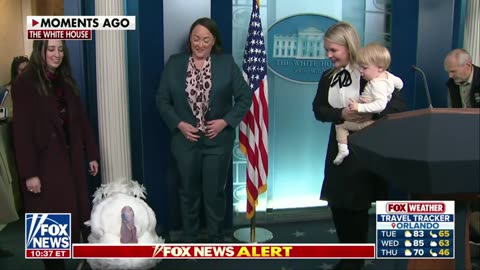 Karoline Leavitt và con trai đang ở trong phòng họp báo cùng với những chú gà tây WADDLE và GOBBLE