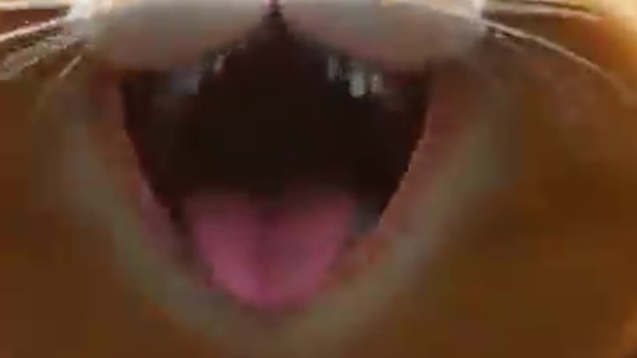 Cute