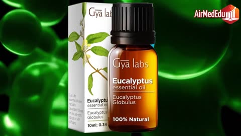 Óleo Essencial de Eucalipto Um Aliado Natural para a Saúde do Adulto