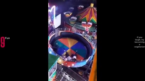 Ultimate Funny Video Compilation