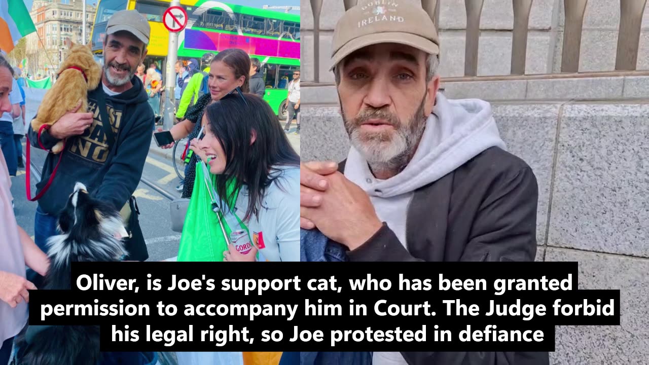 Inspirational and fearless Dublin man Joe and his cat Oliver take on the corrupt Irish establishment