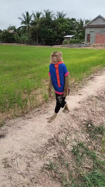 Awesome Video Best SokYaa, OG, Pao & Mom Are Famous Around The World #shorts #anime #trend #edit