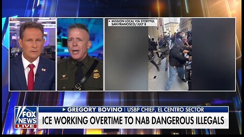USBP Chief: Dem Rep Calling ICE Terrorists Favor Criminals