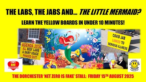 The Labs, The Jabs and.... THE LITTLE MERMAID?
