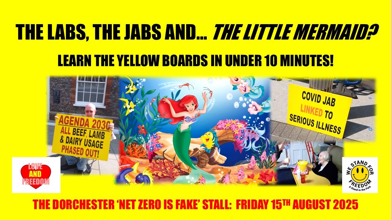 The Labs, The Jabs and.... THE LITTLE MERMAID?
