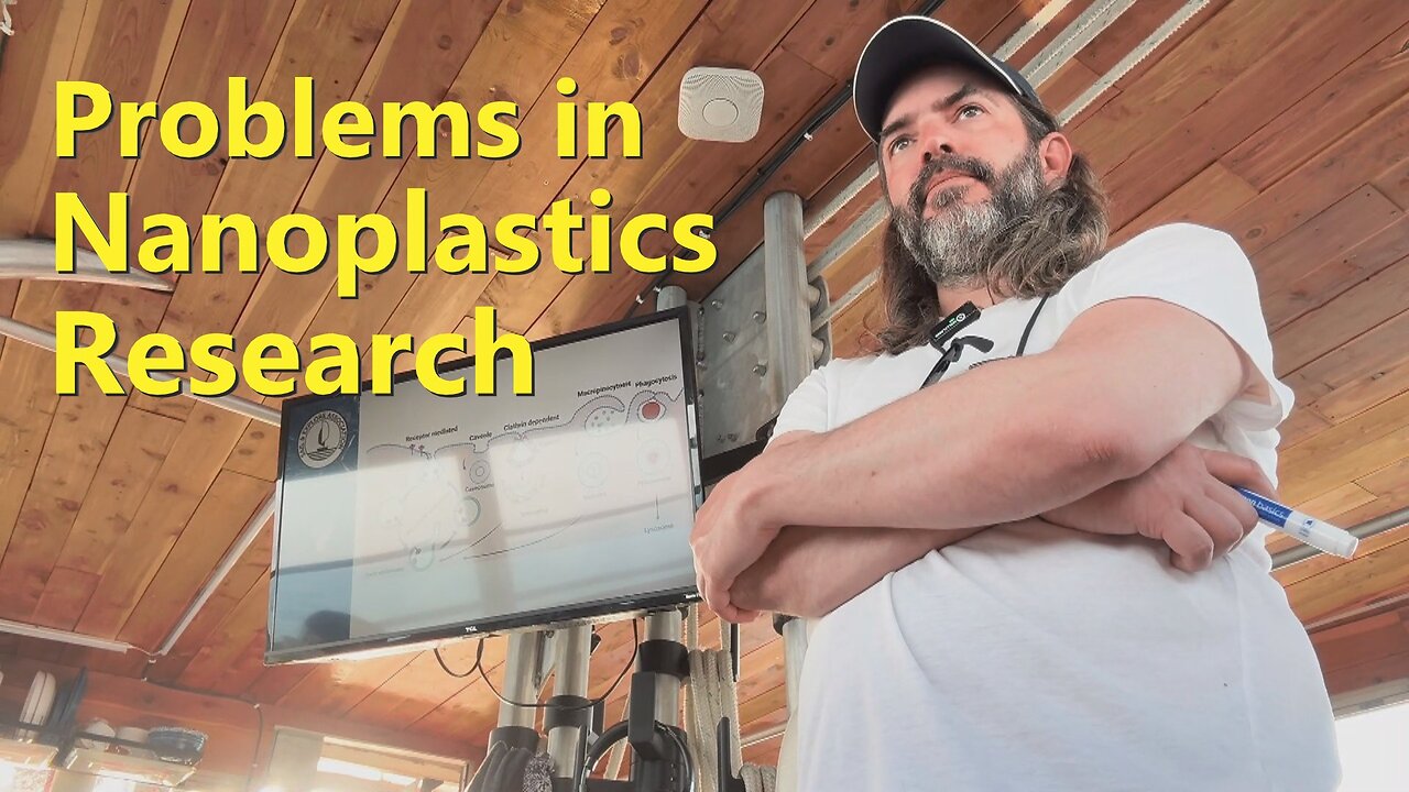 The Current Problem with Nanoplastics Research