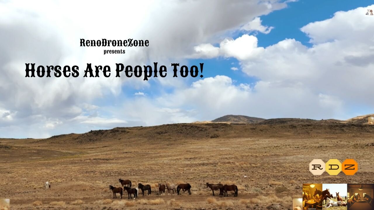 "Horses Are People Too!" by RenoDroneZone