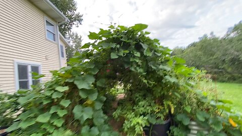 Garden Tour