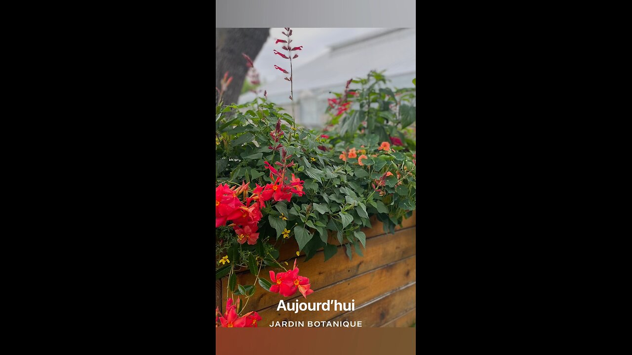 Jardin botanique Montréal