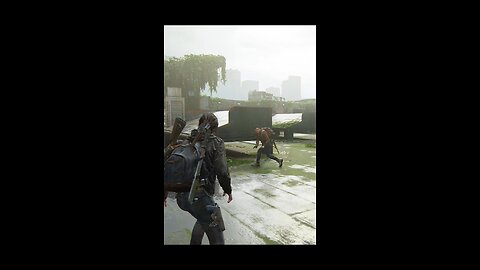 LAST OF US II