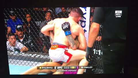 O malley lost UFC 316