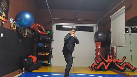 WTD 2 Step Kick Combination 100