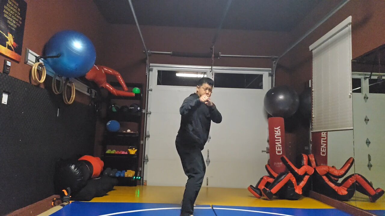 WTD 2 Step Kick Combination 100