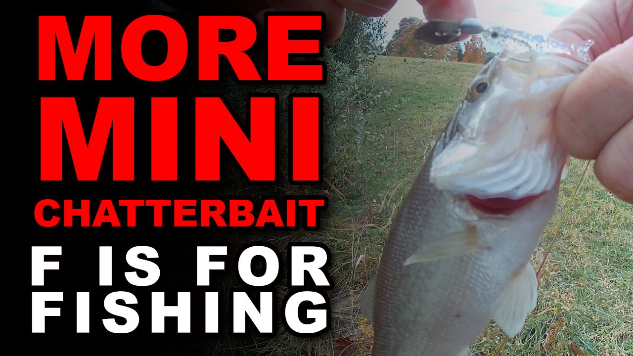 More Mini Chatterbait