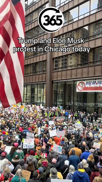 Trump and Elon musk protest in Chicago