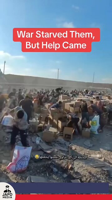 How can humanitarian aid be efficiently delivered in active conflict zones like Gaza?