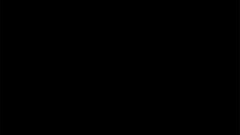 Highlights