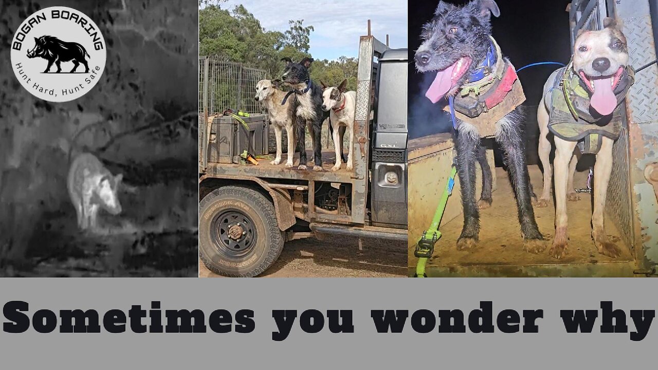 Sometimes you wonder why