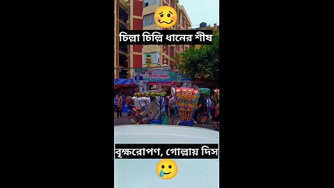 চিল্লাচিল্লি ধানের শীষ, বৃক্ষরোপণ গোল্লায় দিস.. 🥴