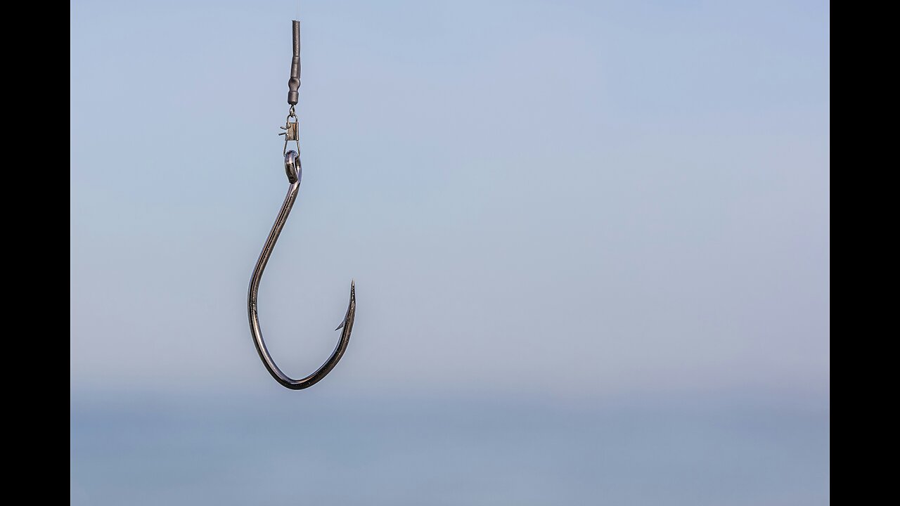 Hook, Line, and Sinker