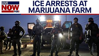 CA farm ICE raid: 200 arrested, children rescued from alleged forced labor, DHS says