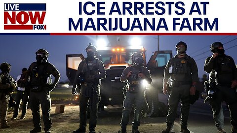 CA farm ICE raid: 200 arrested, children rescued from alleged forced labor, DHS says