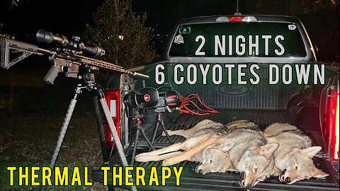 Coyote Chaos: 6 Down in 2 Nights | Faxon .223 Wylde & Rix Leap L6R