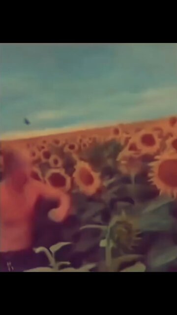 What did the flowers do 😂