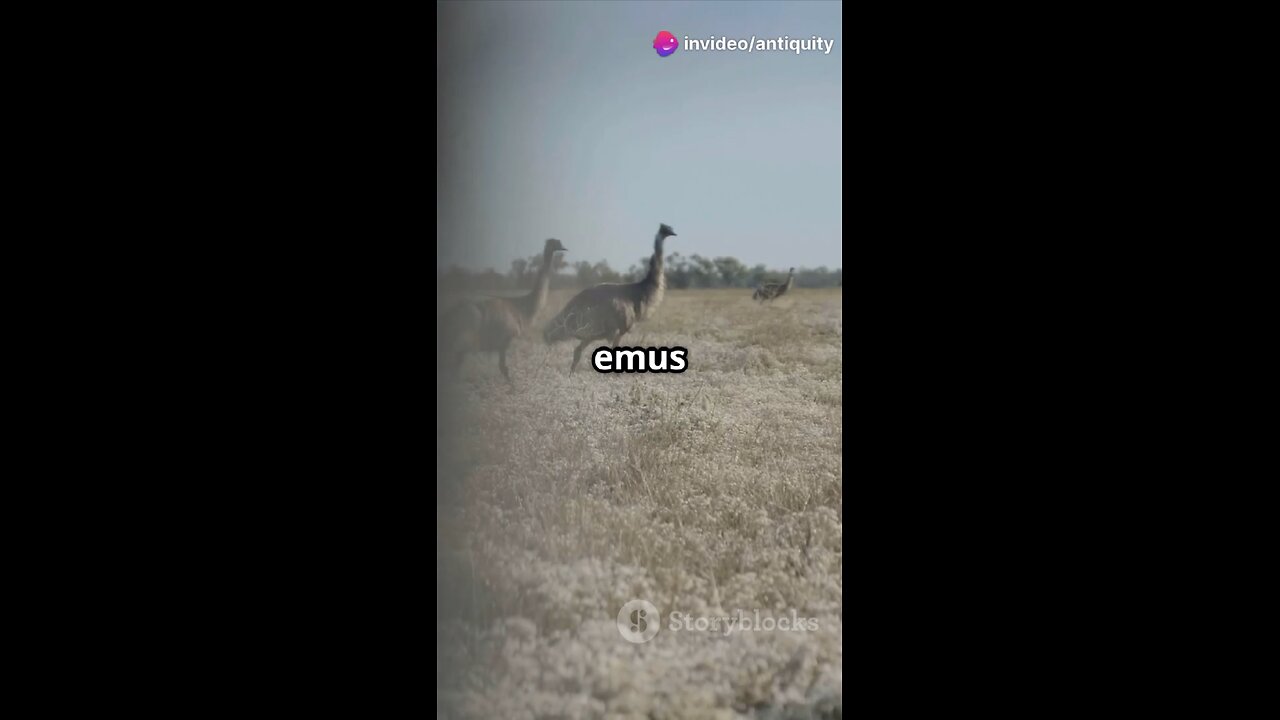 The Great Emu War